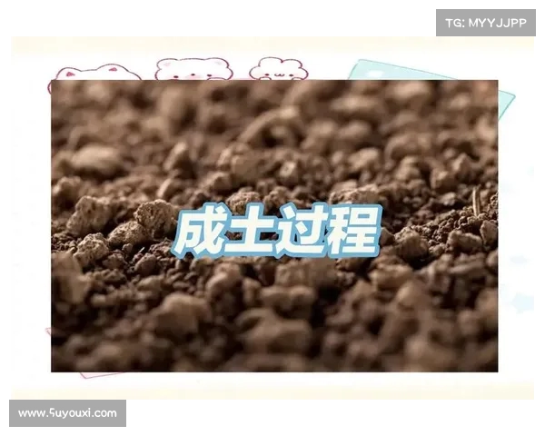 2025年高考地理视角:探索土壤的奥秘 2025年高考地理视角:探索土壤的奥秘